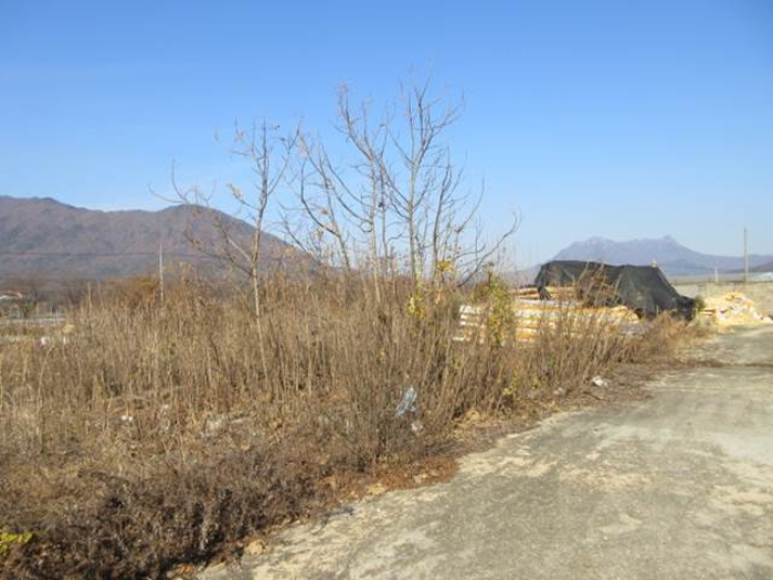 경상북도 문경시 마성면 외어리 935-54 외 2필지 잡종지 경매 사진 8