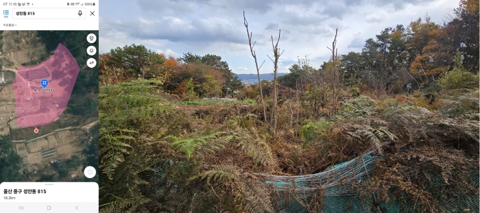 울산광역시 중구 성안동 815 전 경매 사진 18