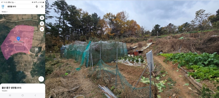 울산광역시 중구 성안동 815 전 경매 사진 19