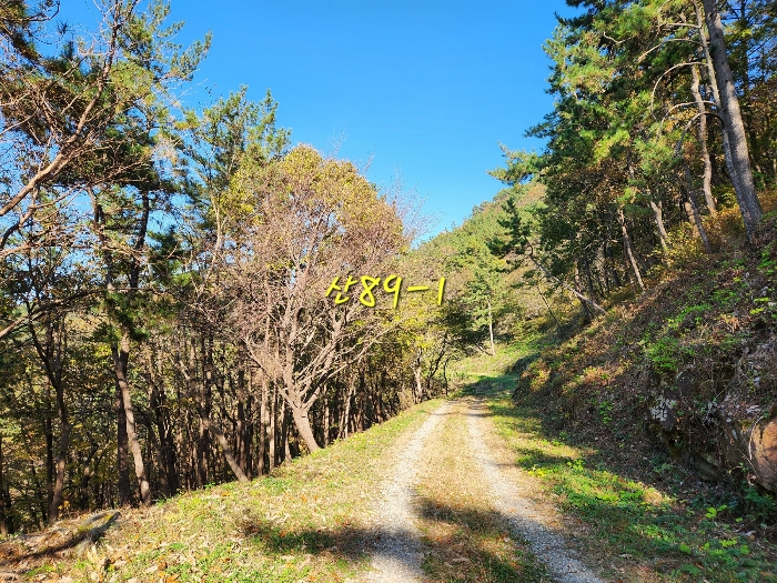 경상남도 남해군 창선면 서대리 산82 외 4필지 임야 경매 사진 15