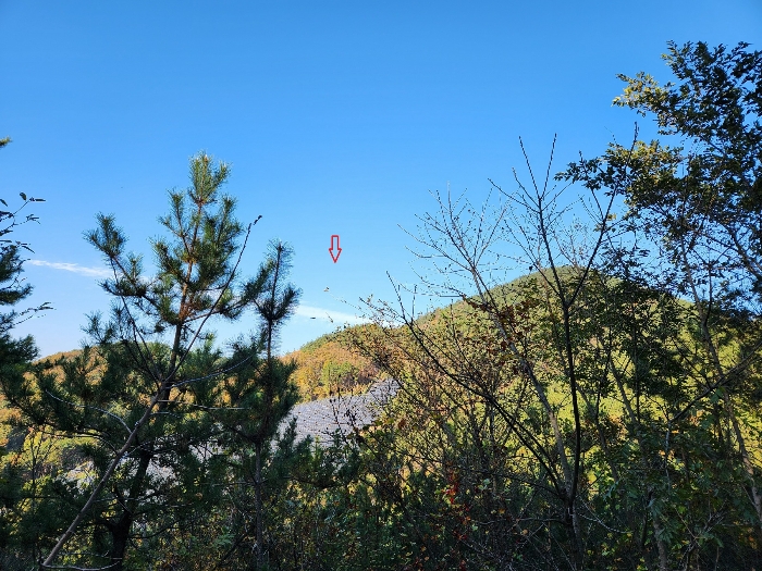 경상남도 남해군 창선면 서대리 산82 외 4필지 임야 경매 사진 24