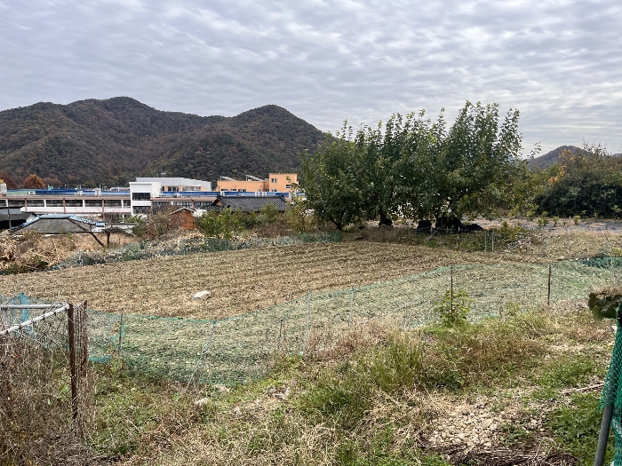 경상남도 밀양시 무안면 신법리 361 전 경매 사진 14