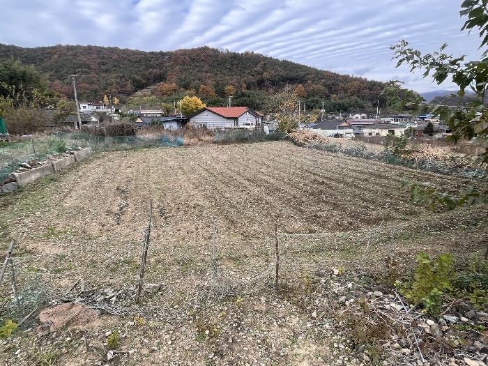 경상남도 밀양시 무안면 신법리 361 전 경매 사진 15