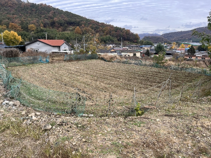 경상남도 밀양시 무안면 신법리 361 전 경매 사진 16