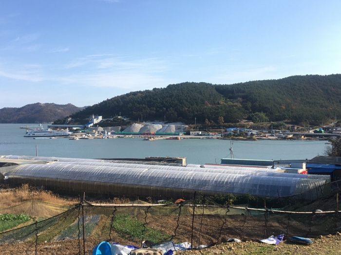 전라남도 완도군 노화읍 고막리 711 외 2필지 잡종지 경매 사진 23
