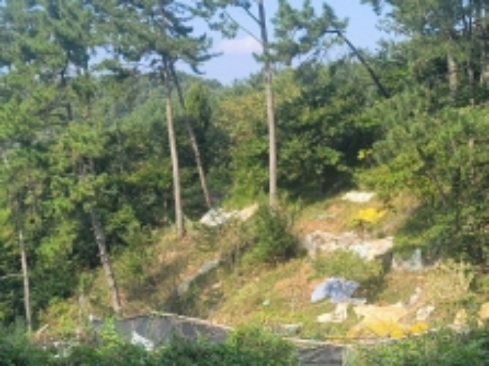 경상남도 통영시 미수동 124 전 경매 사진 1