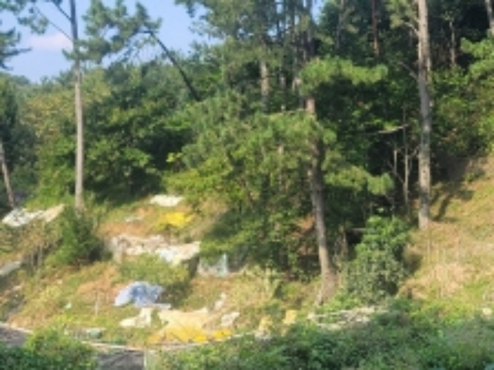 경상남도 통영시 미수동 124 전 경매 사진 2