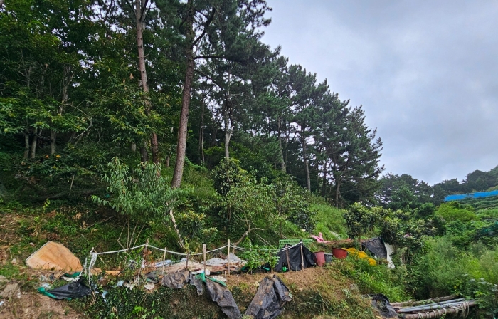 경상남도 통영시 미수동 124 전 경매 사진 3