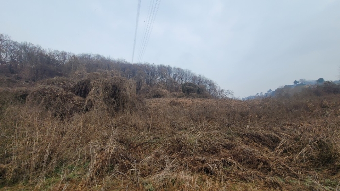 경기도 연천군 청산면 장탄리 959 외 2필지 잡종지 경매 사진 11