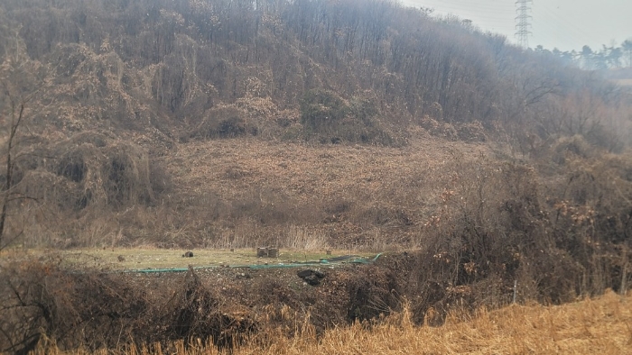 경기도 연천군 청산면 장탄리 959 외 2필지 잡종지 경매 사진 14