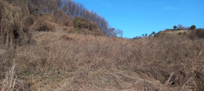 경기도 연천군 청산면 장탄리 959 외 2필지 잡종지 경매 사진 5
