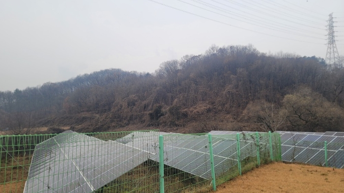 경기도 연천군 청산면 장탄리 959 외 2필지 잡종지 경매 사진 10