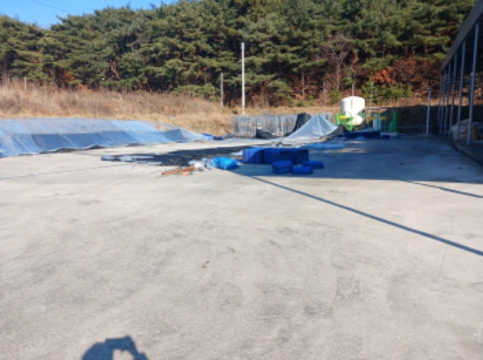 충청남도 서산시 대산읍 운산리 671 외 2필지 동물및식물관련시설 경매 사진 22