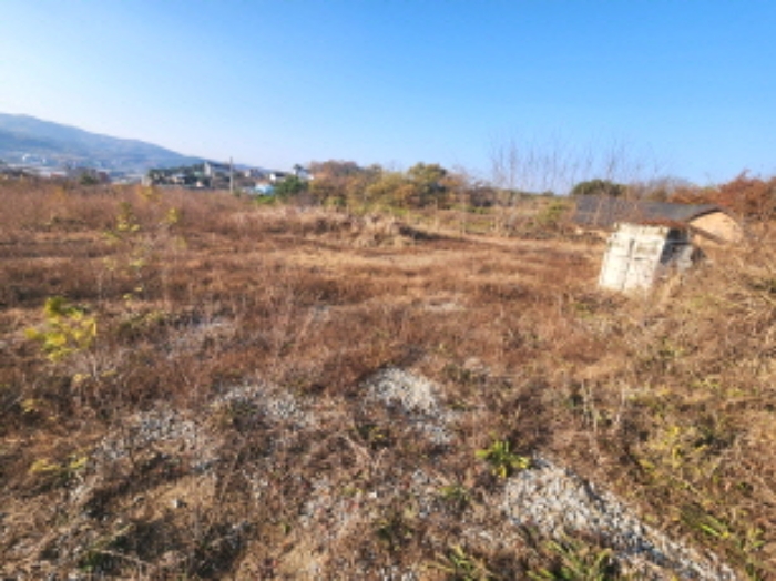 세종특별자치시 장군면 봉안리 295-5 외 5필지 임야 경매 사진 21