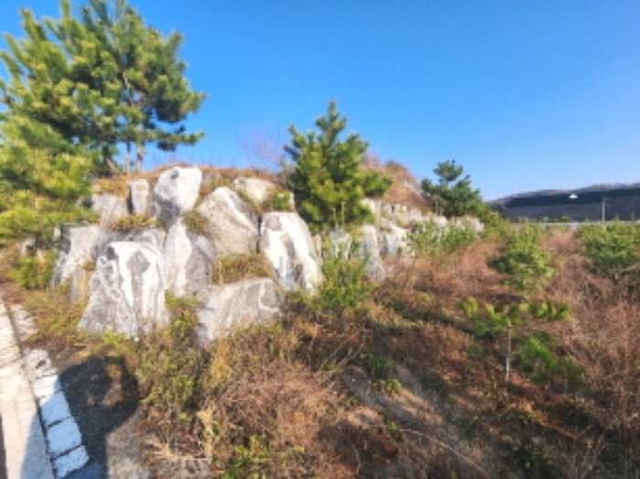 세종특별자치시 장군면 봉안리 295-5 외 5필지 임야 경매 사진 4