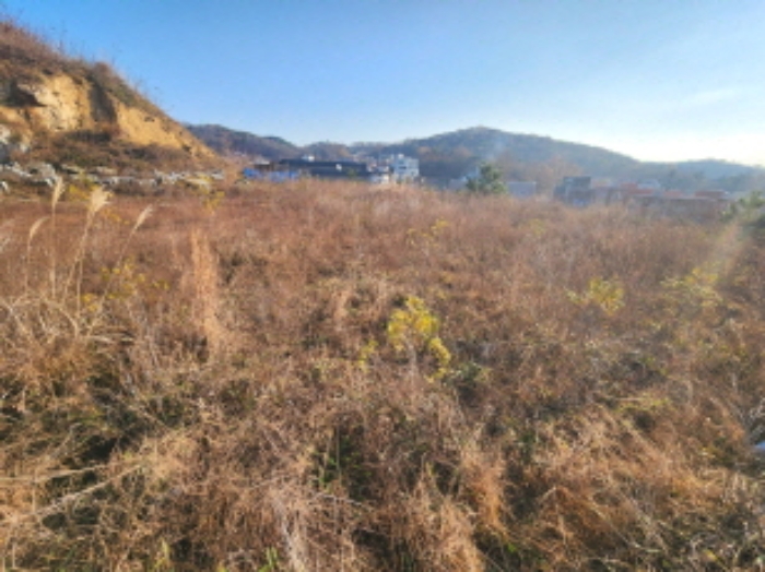세종특별자치시 장군면 봉안리 295-5 외 5필지 임야 경매 사진 5