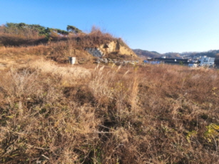 세종특별자치시 장군면 봉안리 295-5 외 5필지 임야 경매 사진 6