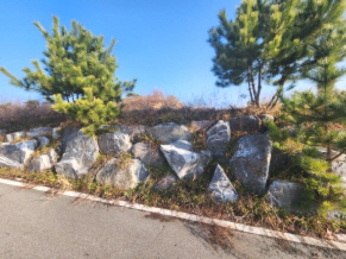 세종특별자치시 장군면 봉안리 295-5 외 5필지 임야 경매 사진 9