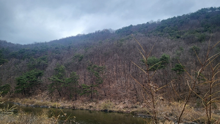 경상북도 문경시 마성면 하내리 산16 임야 경매 사진 20