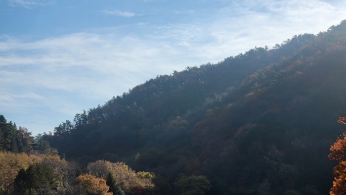 경상남도 거제시 연초면 죽토리 산83-1 임야 경매 사진 14