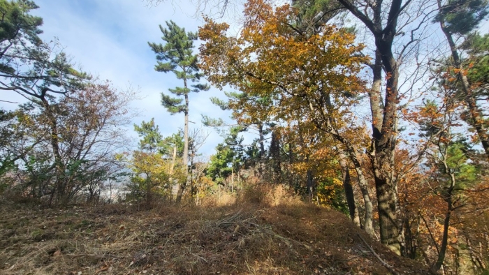 경상남도 거제시 연초면 죽토리 산83-1 임야 경매 사진 15