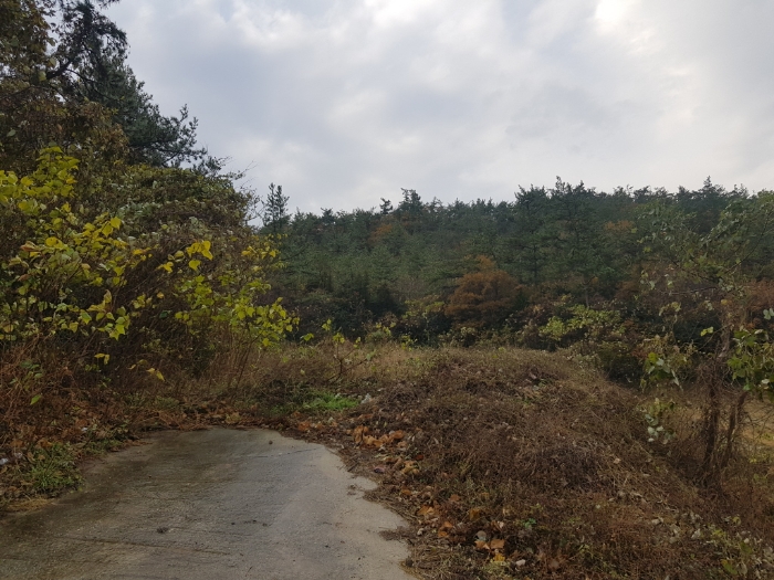 전라남도 해남군 마산면 학의리 산162-7 외 1필지 임야 경매 사진 8