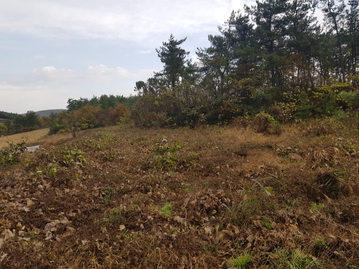 전라남도 해남군 마산면 학의리 산162-7 외 1필지 임야 경매 사진 9