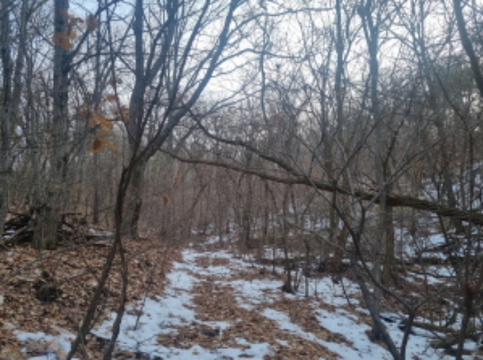 경기도 수원시 장안구 상광교동 산46-1 임야 경매 사진 10