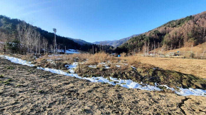 강원특별자치도 평창군 진부면 척천리 111-1 외 8필지 전 경매 사진 13