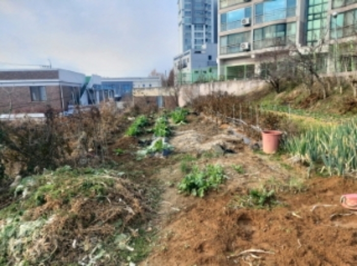 충청남도 당진시 읍내동 187 외 8필지 단독주택 경매 사진 11