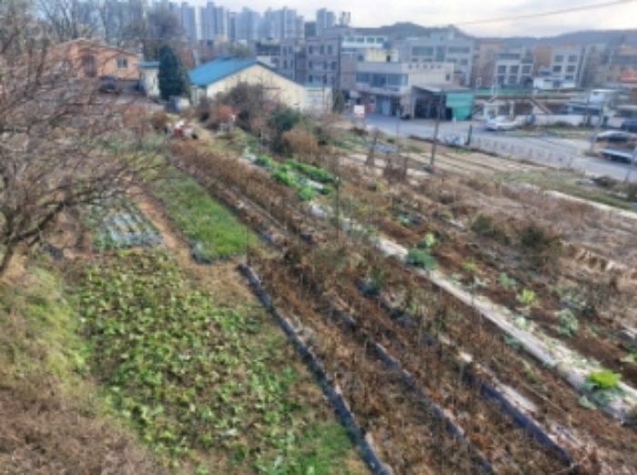 충청남도 당진시 읍내동 187 외 8필지 단독주택 경매 사진 12