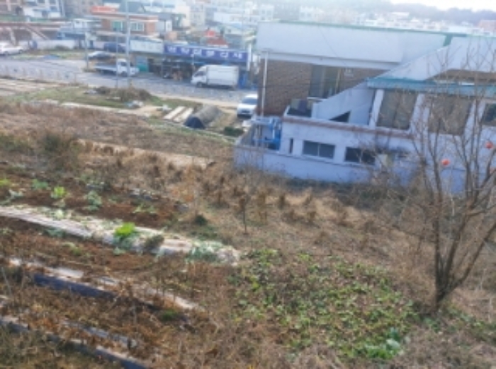 충청남도 당진시 읍내동 187 외 8필지 단독주택 경매 사진 13