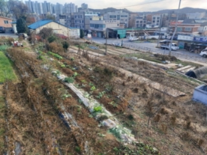 충청남도 당진시 읍내동 187 외 8필지 단독주택 경매 사진 14