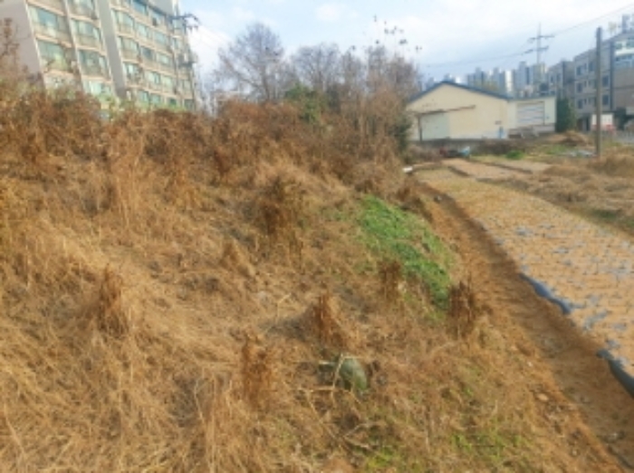 충청남도 당진시 읍내동 187 외 8필지 단독주택 경매 사진 23