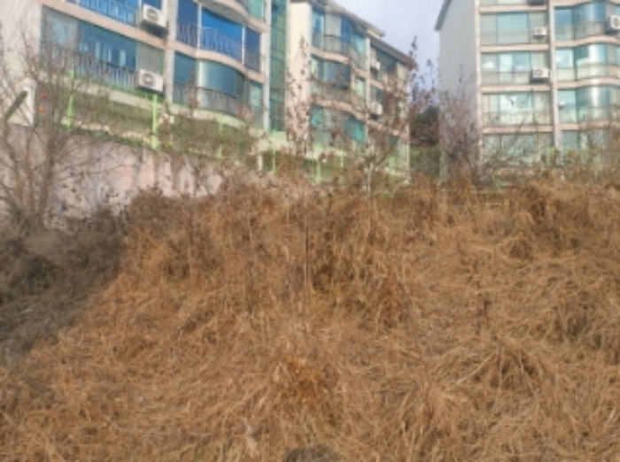 충청남도 당진시 읍내동 187 외 8필지 단독주택 경매 사진 24