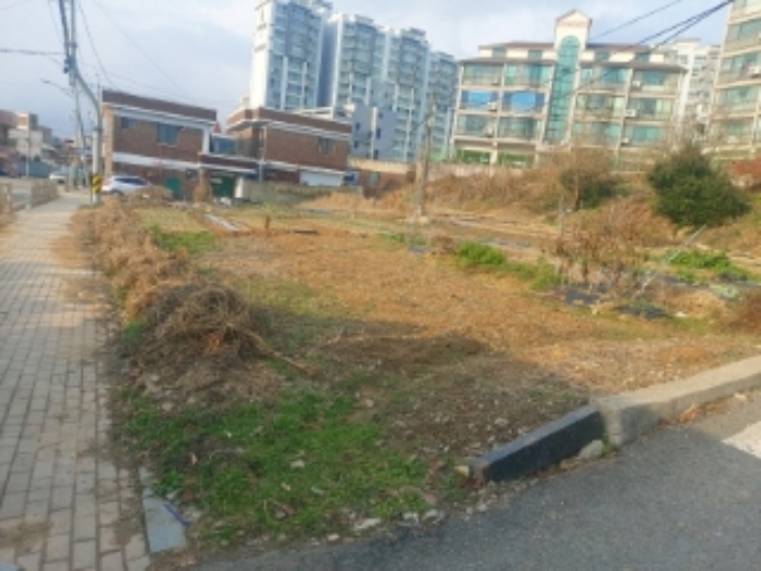 충청남도 당진시 읍내동 187 외 8필지 단독주택 경매 사진 4