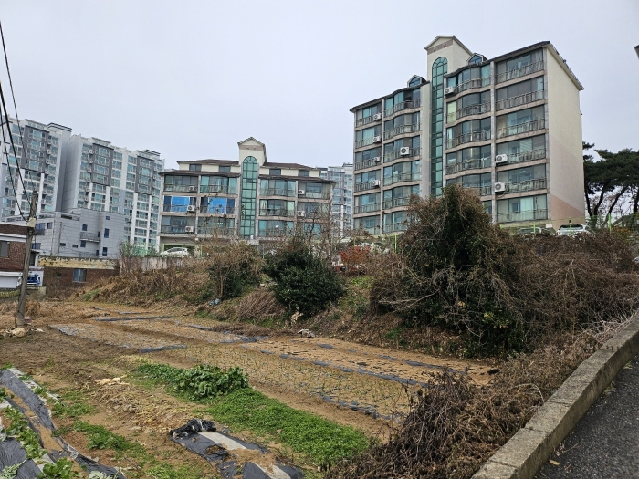 충청남도 당진시 읍내동 187 외 8필지 단독주택 경매 사진 36
