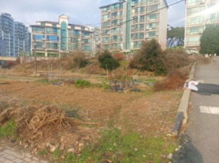 충청남도 당진시 읍내동 187 외 8필지 단독주택 경매 사진 5