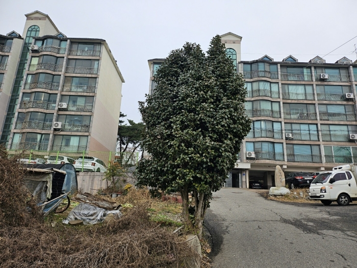 충청남도 당진시 읍내동 187 외 8필지 단독주택 경매 사진 41