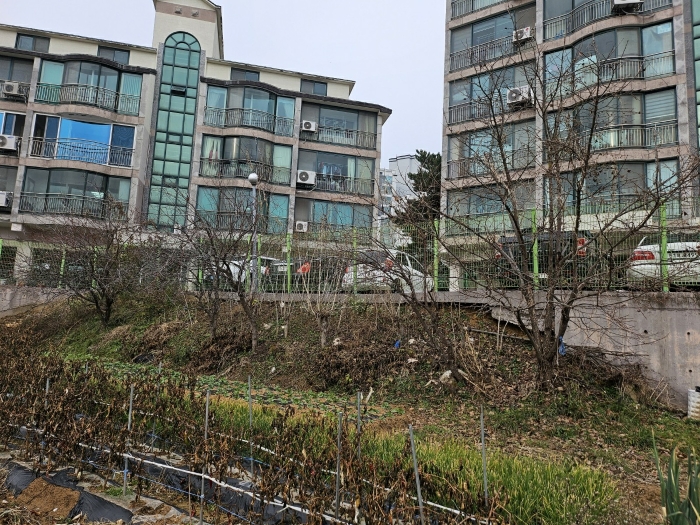 충청남도 당진시 읍내동 187 외 8필지 단독주택 경매 사진 48