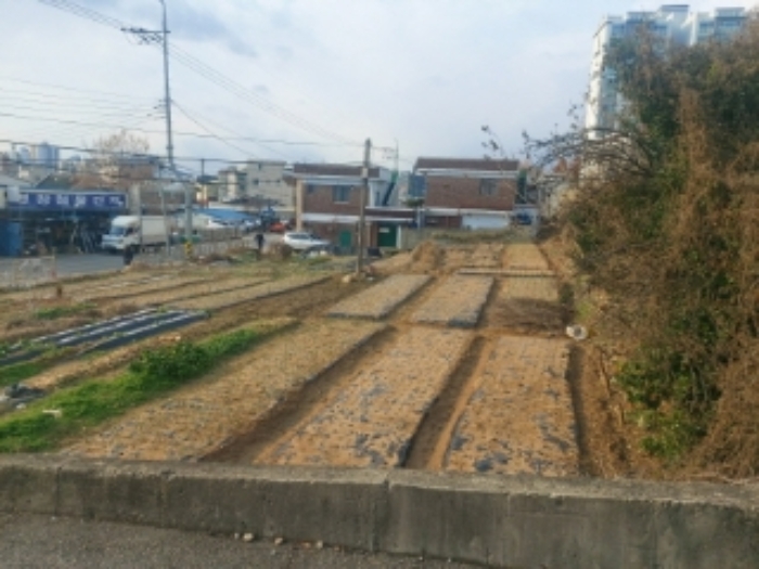 충청남도 당진시 읍내동 187 외 8필지 단독주택 경매 사진 6