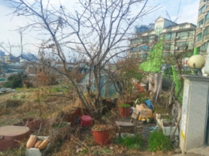 충청남도 당진시 읍내동 187 외 8필지 단독주택 경매 사진 8