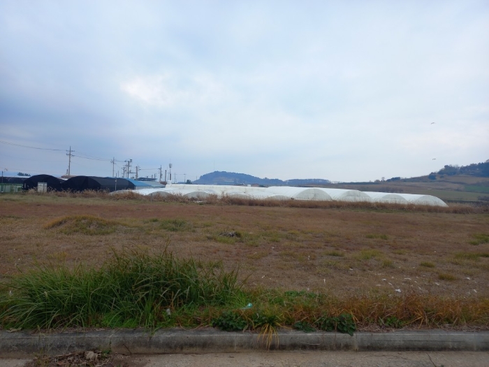 전라남도 함평군 손불면 석창리 522-2 외 3필지 양어장 경매 사진 44