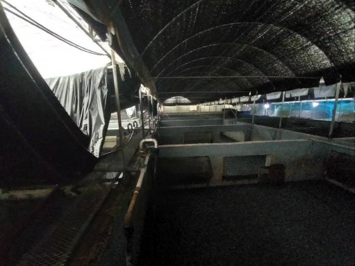 전라남도 함평군 손불면 석창리 522-2 외 3필지 양어장 경매 사진 93