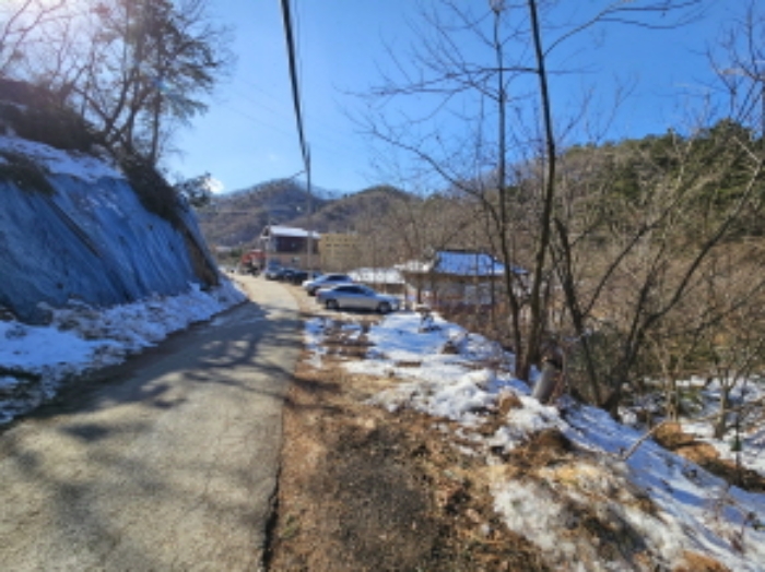경기도 용인시 처인구 양지면 양지리 314-1 임야 경매 사진 1