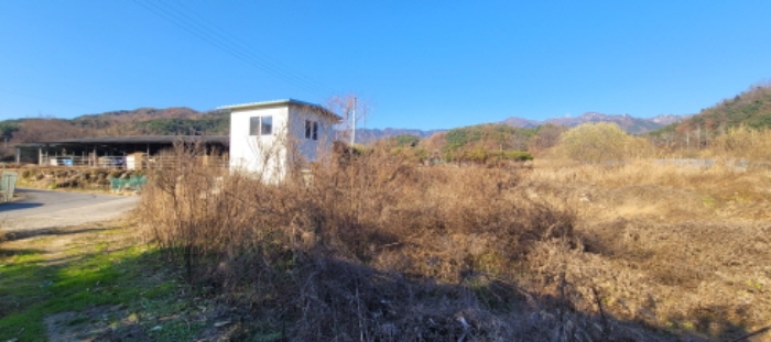 대구광역시 동구 용수동 581 외 1필지 답 경매 사진 2