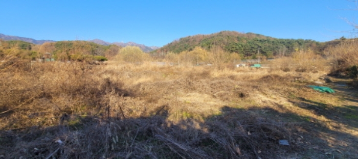 대구광역시 동구 용수동 581 외 1필지 답 경매 사진 3
