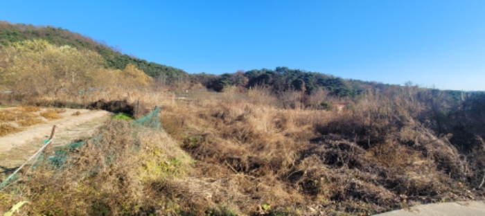 대구광역시 동구 용수동 581 외 1필지 답 경매 사진 4