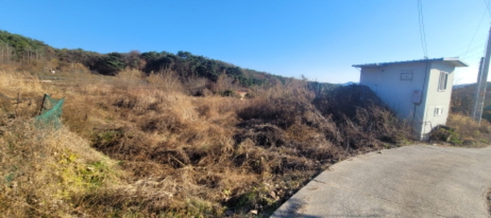 대구광역시 동구 용수동 581 외 1필지 답 경매 사진 5