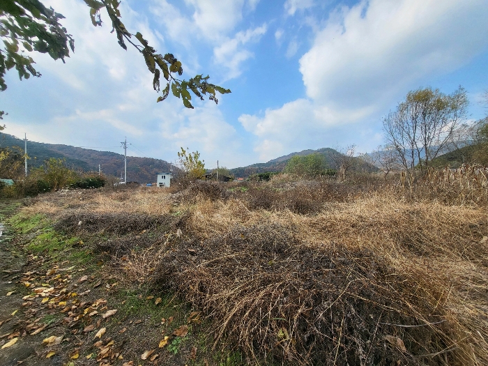 대구광역시 동구 용수동 581 외 1필지 답 경매 사진 10